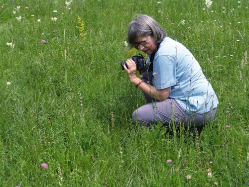 Hildegard Könighofer bei vorbereitenden Arbeiten im Felde. Foto: D. Jakely, Graz